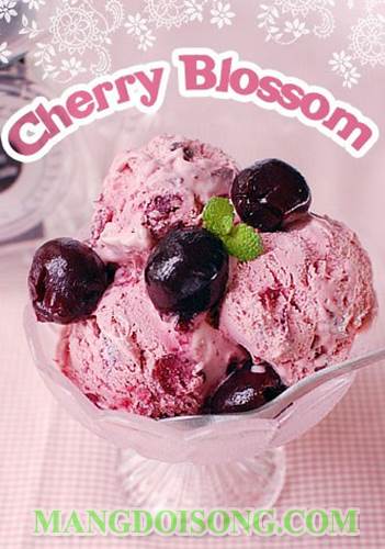 Cách làm kem cherry blossom thơm ngon đẹp mắt cho tất cả các bạn trổ tài vào bếp 6