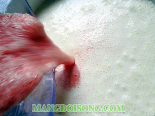 Cách làm kem dưa hấu ngon đỏ đẹp mắt mát cho mùa hè 5