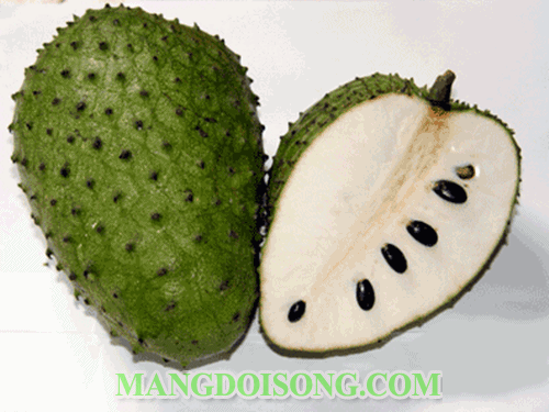 Cách làm kem mãng cầu xiêm chua ngọt ngon đơn giản mà ai cũng thích 1