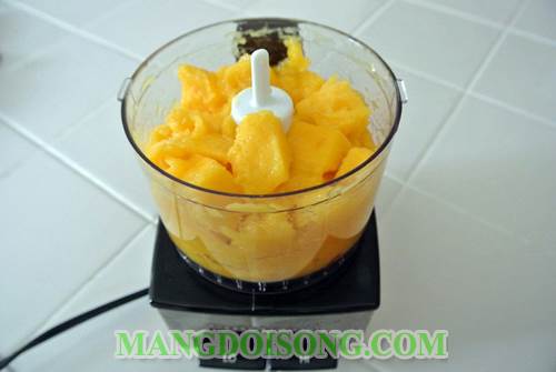 Cách làm kem sorbet cam xoài ngon độc đáo tăng cường vitamin C cho cơ thể khỏe mạnh 2
