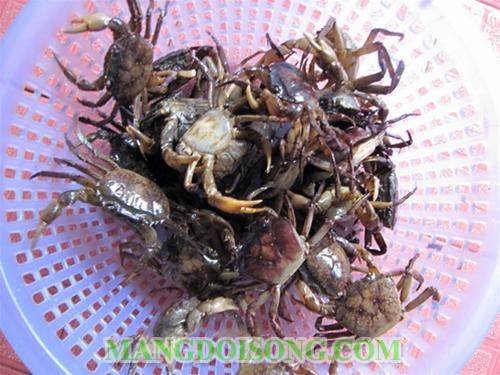 Cách nấu lẩu cua đồng sườn sụn ngon cho ngày cuối tuần 1