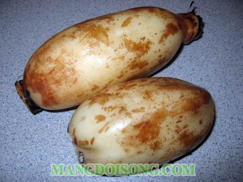 Cách làm nếp nhồi củ sen ngon tốt cho sức khẻo gia đình bạn 1