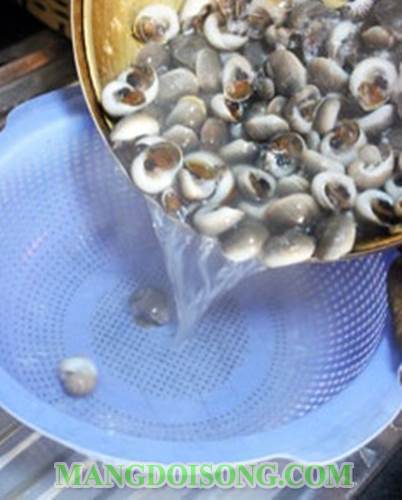Cách làm ốc mỡ xào me thơm ngon chua cay tại gia 2