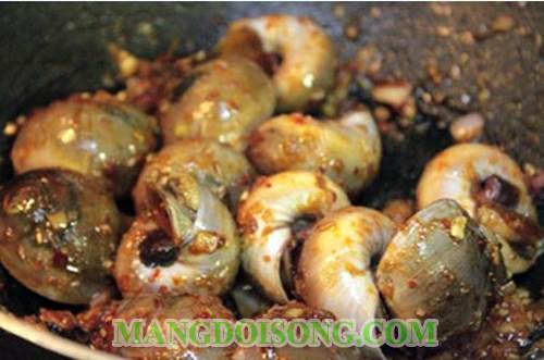 Cách làm ốc mỡ xào me thơm ngon chua cay tại gia 3