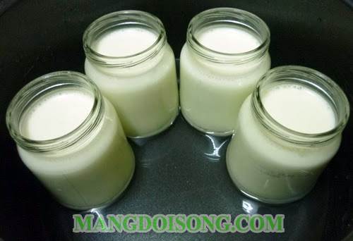 Cách làm sữa chua lá dứa thơm ngon đập tan cái nóng 3