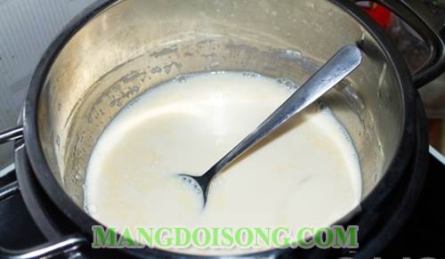 Cách làm sữa chua phô mai cho bé yêu của bạn 2