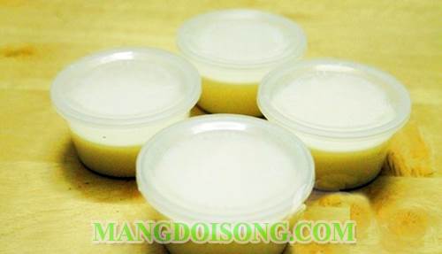 Cách làm sữa chua phô mai cho bé yêu của bạn 3