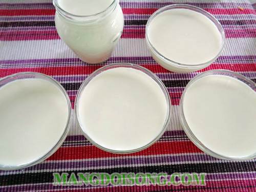 Cách làm sữa chua thạch trà xanh ngon mát giải nhiệt 4
