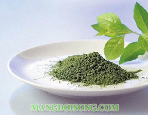 Cách làm sữa chua trà xanh mát lành không lo bị nóng 1
