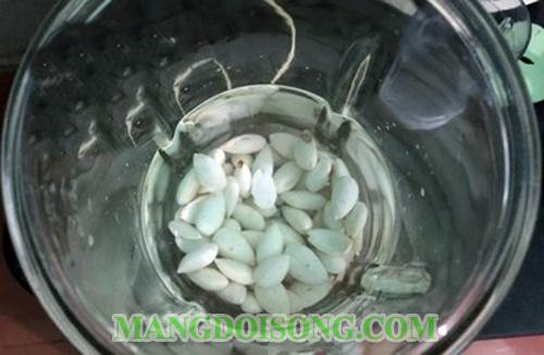 Cách làm sữa hạnh nhân thơm ngon bổ dưỡng tốt cho sức khỏe gia đình bạn 3