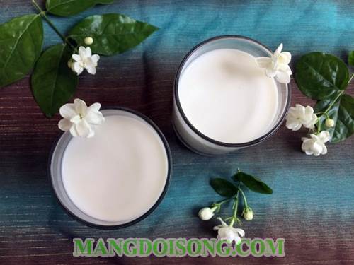 Cách làm sữa hạnh nhân thơm ngon bổ dưỡng tốt cho sức khỏe gia đình bạn 6