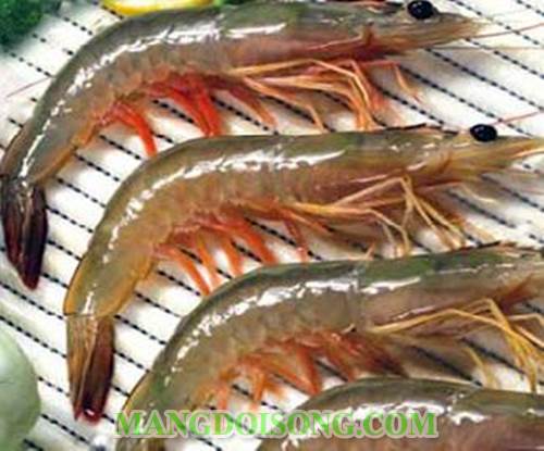 Cách làm tôm bóp gỏi ngũ vị tươi sống với mù tạt độc đáo đơn giản cho những tín đồ món ăn tươi 1