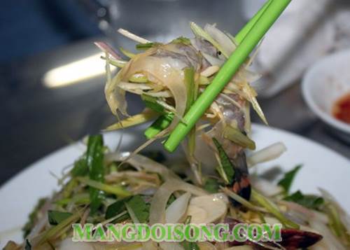 Cách làm tôm bóp gỏi ngũ vị tươi sống với mù tạt độc đáo đơn giản cho những tín đồ món ăn tươi 4