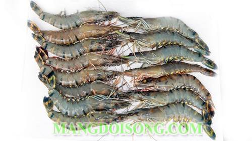Cách làm tôm cuộn mì trứng chiên giòn ngon dễ đẹp mắt sau món khai vị cho bữa tiệc 1