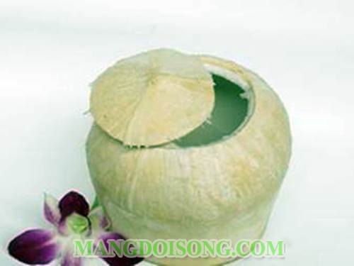 Cách làm tôm hấp dừa thơm ngon ngọt trang trí đẹp mắt chỉ trong mười phút 2