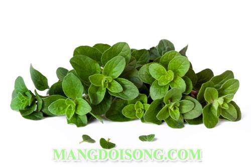 Cách làm tôm nướng ống trúc cực kì thơm ngon công thức từ đầu bếp nhà hàng hải sản Nha Trang 2