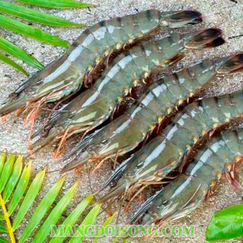 Cách làm tôm nướng sa tế thơm ngon cay nồng đơn giản cho bữa tiệc nhậu thêm phong phú 1