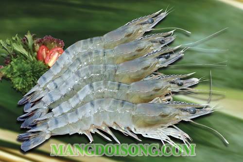 Cách làm tôm rang thì là thơm ngon diệu kỳ làm đắm say bao nhiêu chàng trai trẻ 1