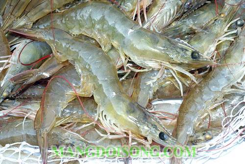 Cách làm tôm sốt sa tế thơm ngon cho bữa cơm đậm đà hương vị thắm tình thương yêu 1