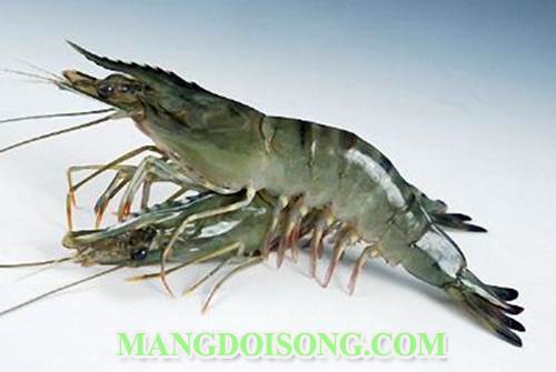 Cách làm tôm sú nướng mật ong vỏ chanh thơm ngon nhất quả đất không ăn là phí cả đời 1