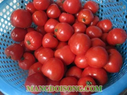 Cách làm tương cà chua ngon dùng làm gia vị trong bếp nhà bạn mà không phải mua ngoài hiệu 1