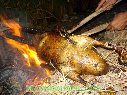 Cách làm vịt nấu giả cầy thơm ngon đậm đà cho cả nhà ăn mê say vào ngày cuối tuần 1