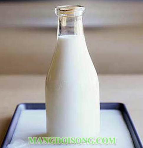 Cách làm whipping cream tại nhà bằng máy đánh trứng 1