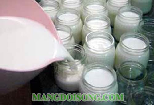 Cách làm yaourt bằng sữa đặc sữa tươi đơn giản tại nhà dùng để làm thực phẩm hay nguyên liệu làm đẹp cho tất cả mọi người 4