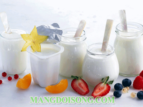 Cách làm yaourt bằng sữa đặc sữa tươi đơn giản tại nhà dùng để làm thực phẩm hay nguyên liệu làm đẹp cho tất cả mọi người 6