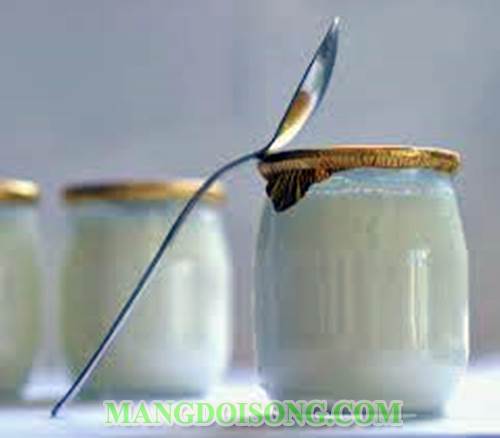 Cách làm yaourt đá ngon mát nhanh như tận hưởng mùa hè tại bắc cực 1