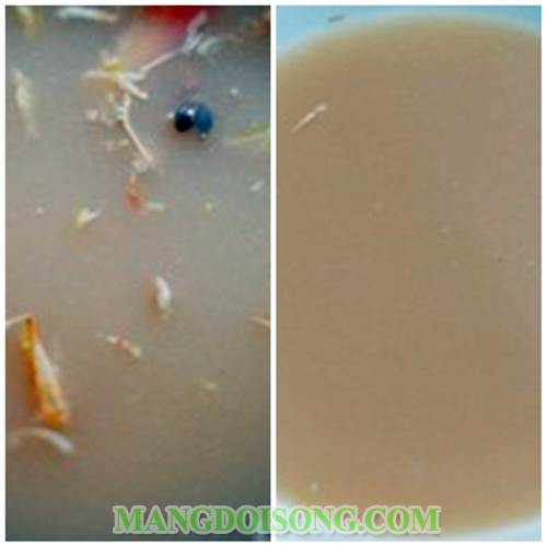 Cách nấu bún tôm ngon đặc sản Hải Phòng cho cả nhà thưởng thức vào ngày lễ giỗ tổ lễ 30/4 lễ 1/5 3