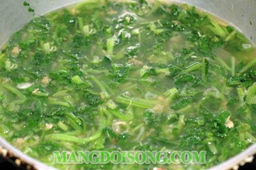 Cách nấu canh cải tôm khô ngon ngọt hấp dẫn cho bữa cơm trưa gia đình bạn thêm ngon 7