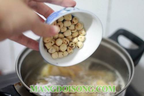 Cách nấu canh gà hầm hạt sen thơm ngon bổ dưỡng dùng để bồi bổ cho mẹ bầu hay người mới ốm dậy 7