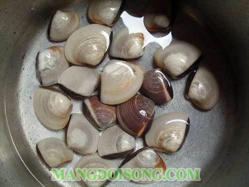 Cách nấu canh ngao đậu hủ rau răm thơm ngon đúng điệu cho bữa cơm 2