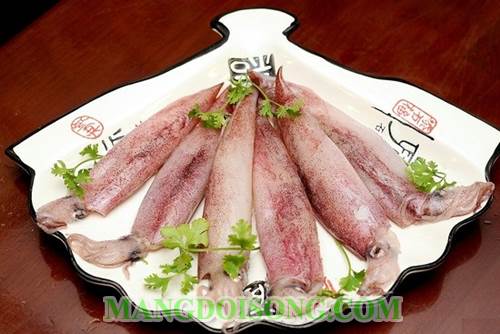 Cách nấu cháo mực tươi ngon cho các mẹ sau khi sinh nhiều sữa 1