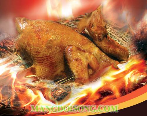 Cách nấu gà giả cầy thơm ngon bắt mắt ăn cơm rất ngon mà nhậu lại càng tuyệt vời hơn 1