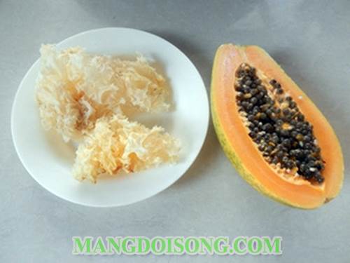 Cách nấu súp nấm đu đủ ngon ngọt thanh mát giải nhiệt cho mùa hè không lo bị nóng trong người 1