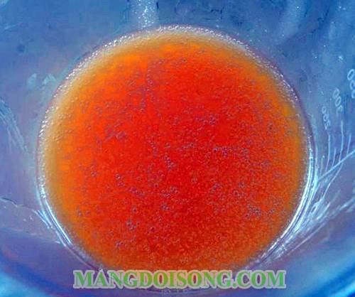 Cách làm bánh quy mousse chanh hình hoa hướng dương ngon đẹp mắt đơn giản ngay tại bếp nhà bạn 5