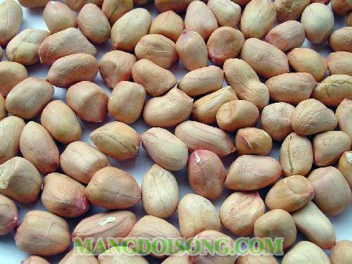 Cách làm đậu phộng da cá ngon như mua trong siêu thị chỉ với 3 bước đơn giản ngay tai bếp nhà bạn 1