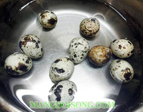 Cách làm giò sống viên trứng cút chiên vàng ngon giòn dùng làm món khai vị hấp dẫn cho bữa tiệc 3