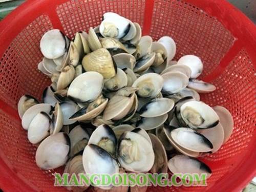 Cách làm ngao xào trứng ngon đậm đà vị dùng cho bữa cơm gia đình thật hấp dẫn và ngon miệng 1