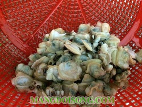 Cách làm ngao xào trứng ngon đậm đà vị dùng cho bữa cơm gia đình thật hấp dẫn và ngon miệng 2