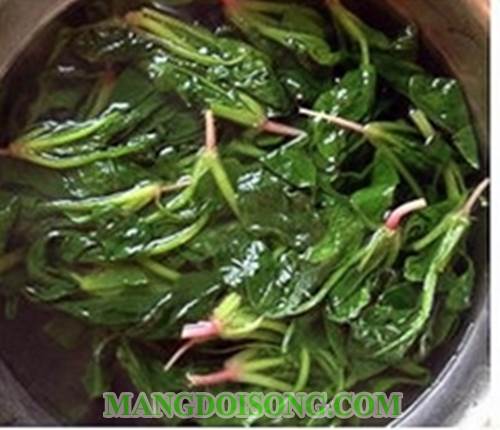 Cách làm nộm rau chân vịt chay ngon đơn giản dùng cho bữa cơm ngày rằm hay người muốn giảm cân 1