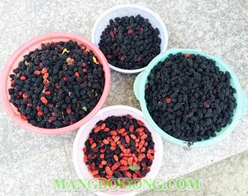 Cách làm nước dâu tằm ngâm đường ngon ngọt mát dùng để giải khát cho mùa hè để lâu không sợ hỏng 1