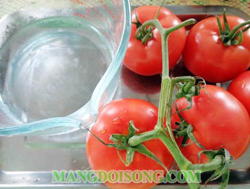 Cách làm nước ép cà chua ngon dùng để giải khát sau bữa cơm trưa giúp thanh nhiệt giải độc 1