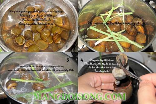 Cách làm ốc bưu nhồi hấp sả thơm ngon đậm đà đúng điệu theo kiểu thái đơn giản chế biến tại bếp gia đình 2