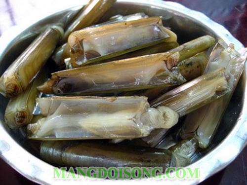 Cách làm ốc móng tay hấp thái ngon ơi là ngon với vị chua chua ngọt ngọt cay cay giống như ngoài hàng 1