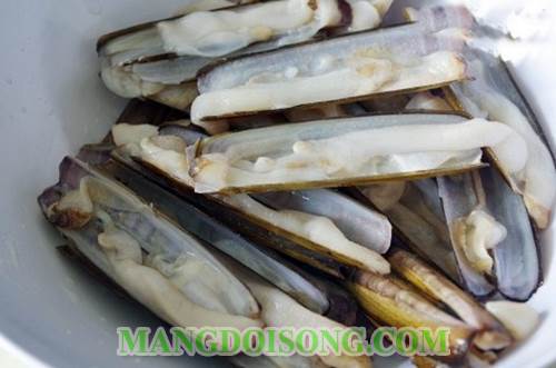 Cách làm ốc móng tay sốt dầu hào ngon cho ông xã nhâm nhi cuối tuần 1