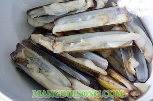 Cách làm ốc móng tay xào sa tế thơm ngon bắt mắt dùng làm món nhậu ngon món ăn cơm cũng rất tuyệt 1