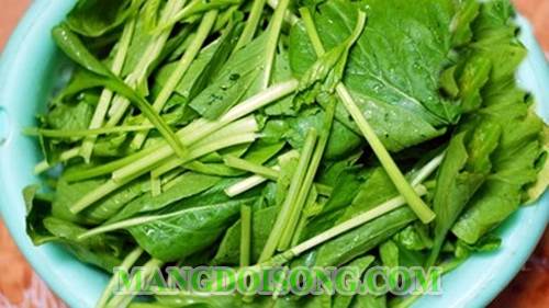 Cách làm phở xào bò sốt rau cải xanh thơm ngon đẹp mắt như nhà hàng cho bữa điểm tâm sáng đầy cảm hứng 2